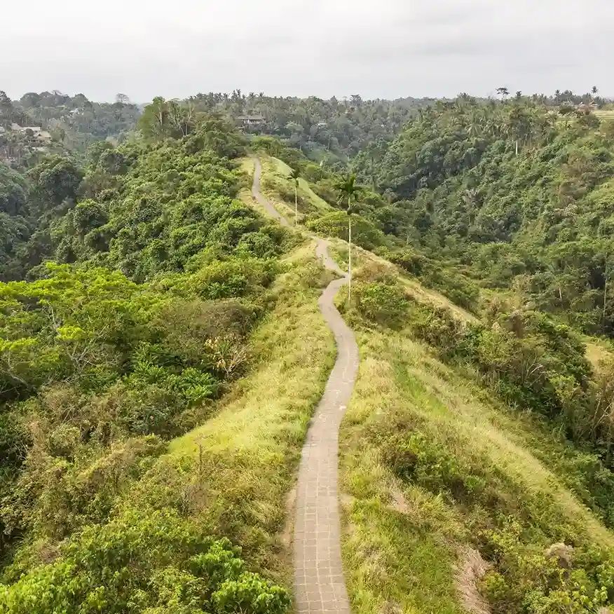 Campuhan Ridge Walk - Destinasi Sewa Mobil Mewah Ubud